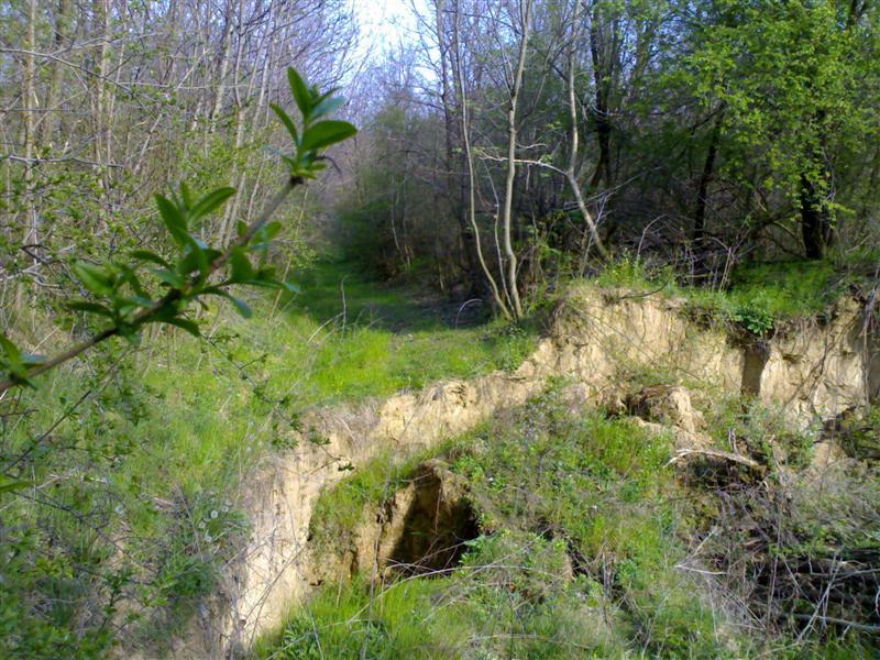 200704091711 .jpg